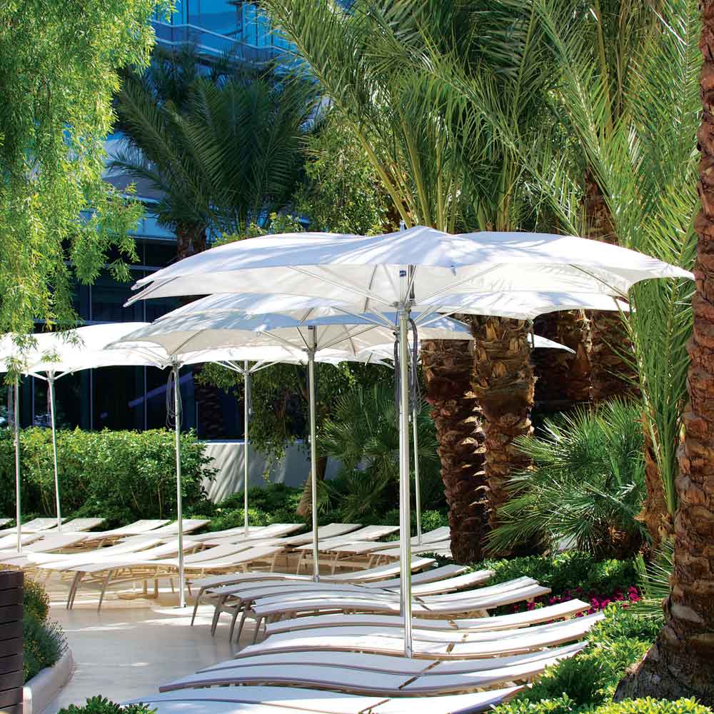 Ocean Master Crescent - Image 3