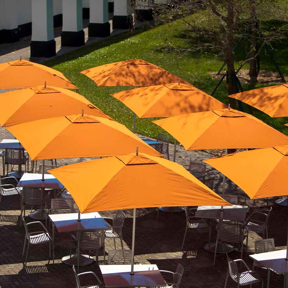 Ocean Master Classic - Image 5